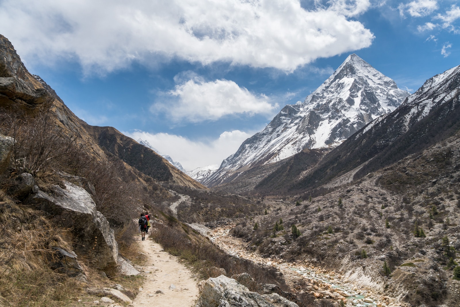 Trekking trail to Gomukh and Gangotri glacier