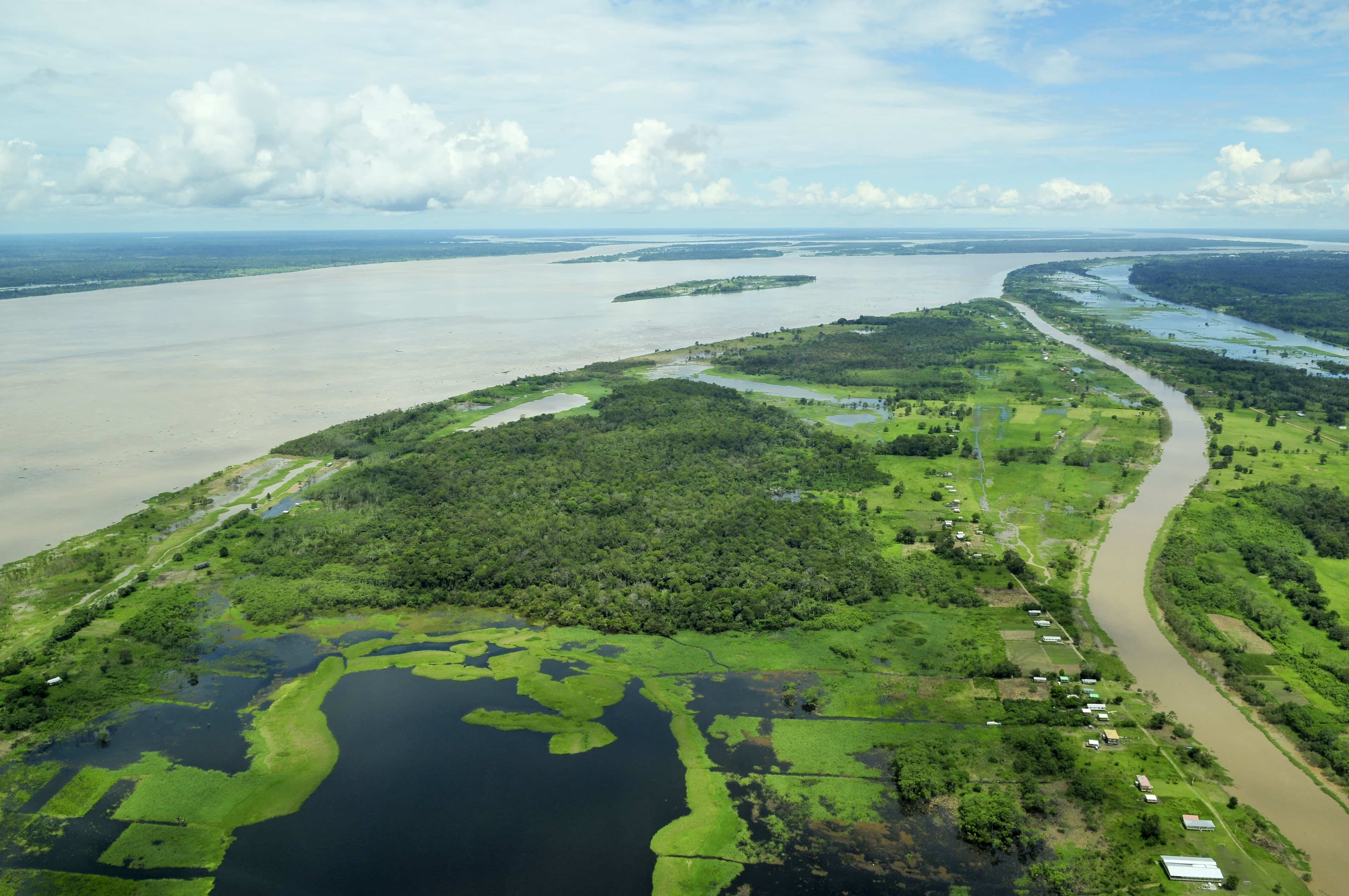 Brazilian Amazon by Neil Palmer of CIAT