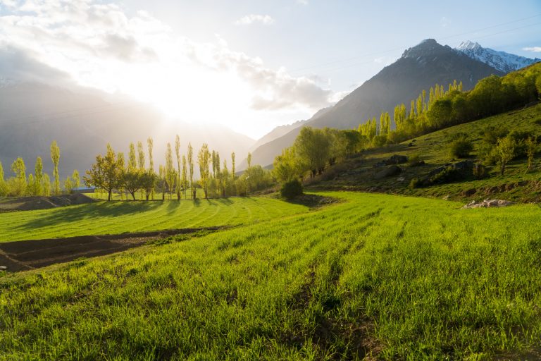 Complete Guide To Phander Valley Pakistan Lost With Purpose