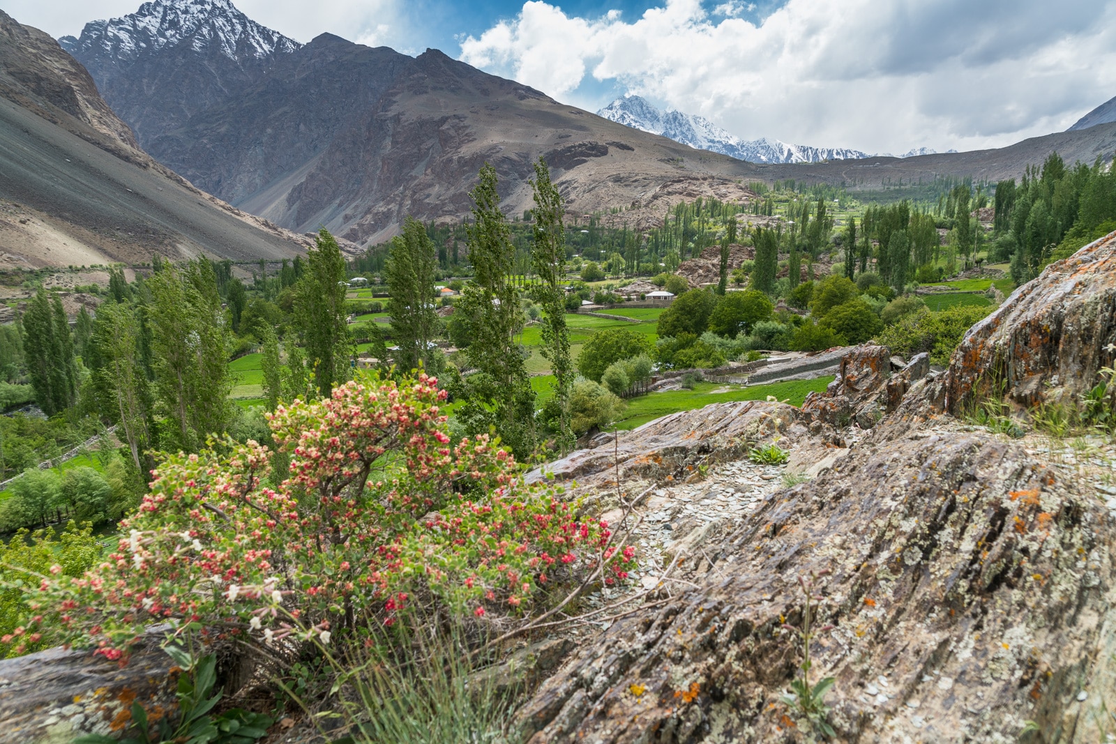 Phander Valley travel guide - Wildflowers on a hill overlooking the village - Lost With Purpose travel blog