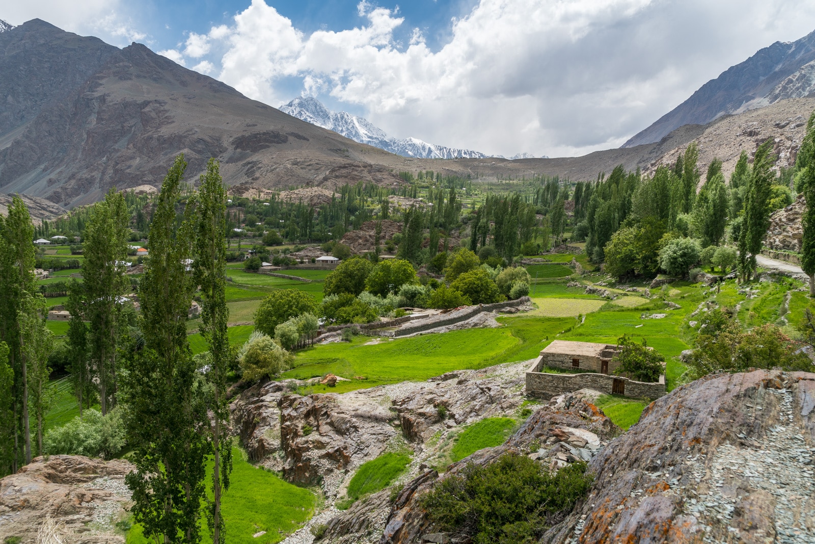 Phander Valley travel guide - Greenery in a remote village near Phander - Lost With Purpose travel blog