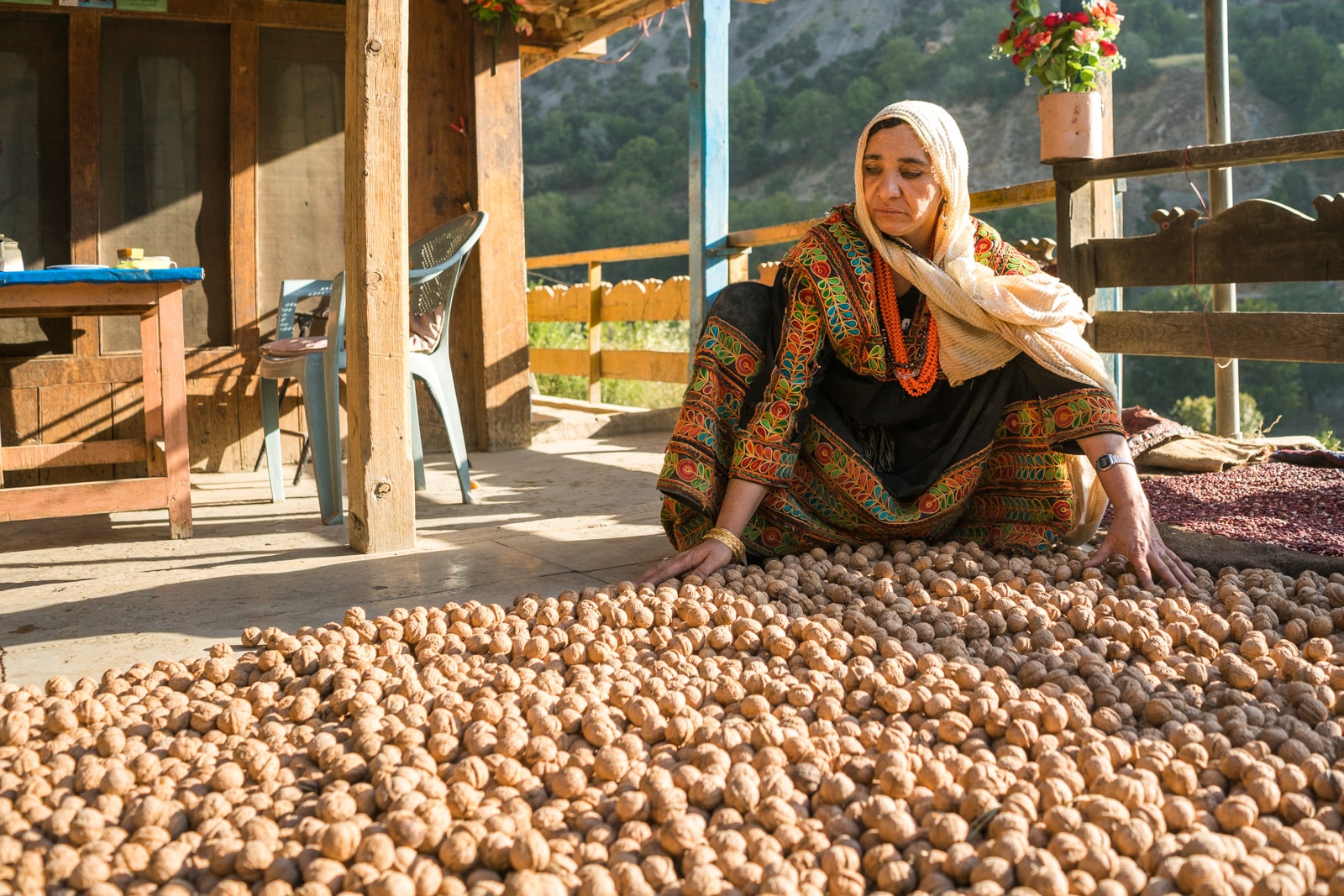 Kalash woman dries walnuts at a homestay of sorts in Pakistan