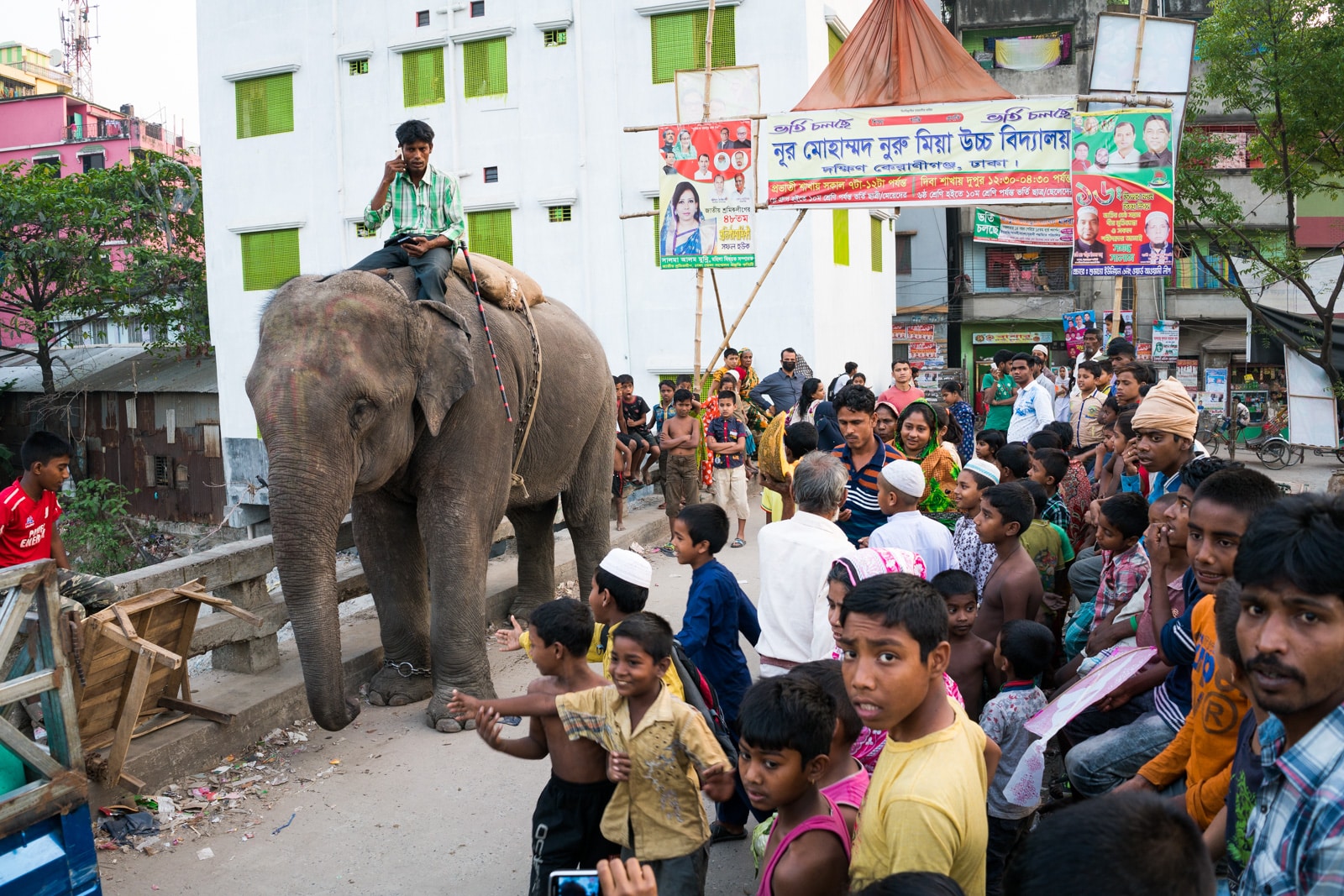 Ways of getting more off the beaten track while traveling - Elephant on the streets of Dhaka, Bangladesh - Lost With Purpose travel blog