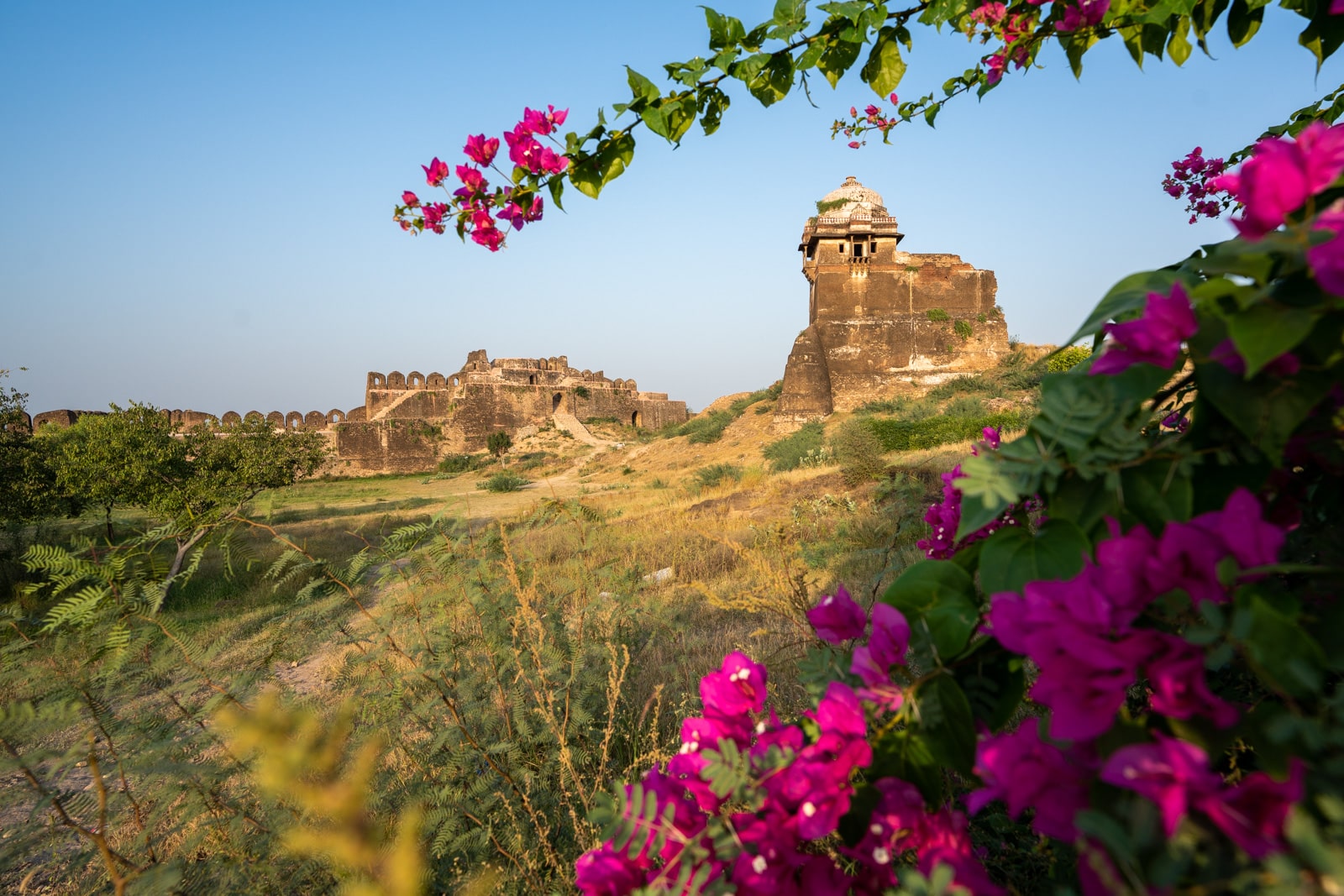 Reflections - Rohtas Fort in Pakistan at sunrise with magenta flowers - Lost With Purpose travel blog