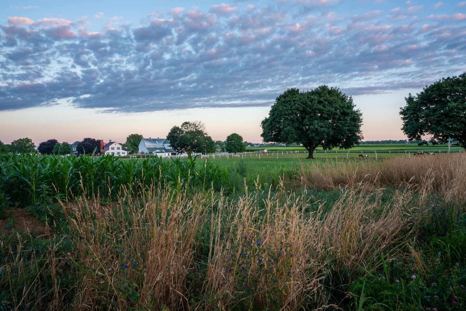 Reflections - Soft sunrise pastels over Lancaster, Pennsylvania - Lost With Purpose travel blog