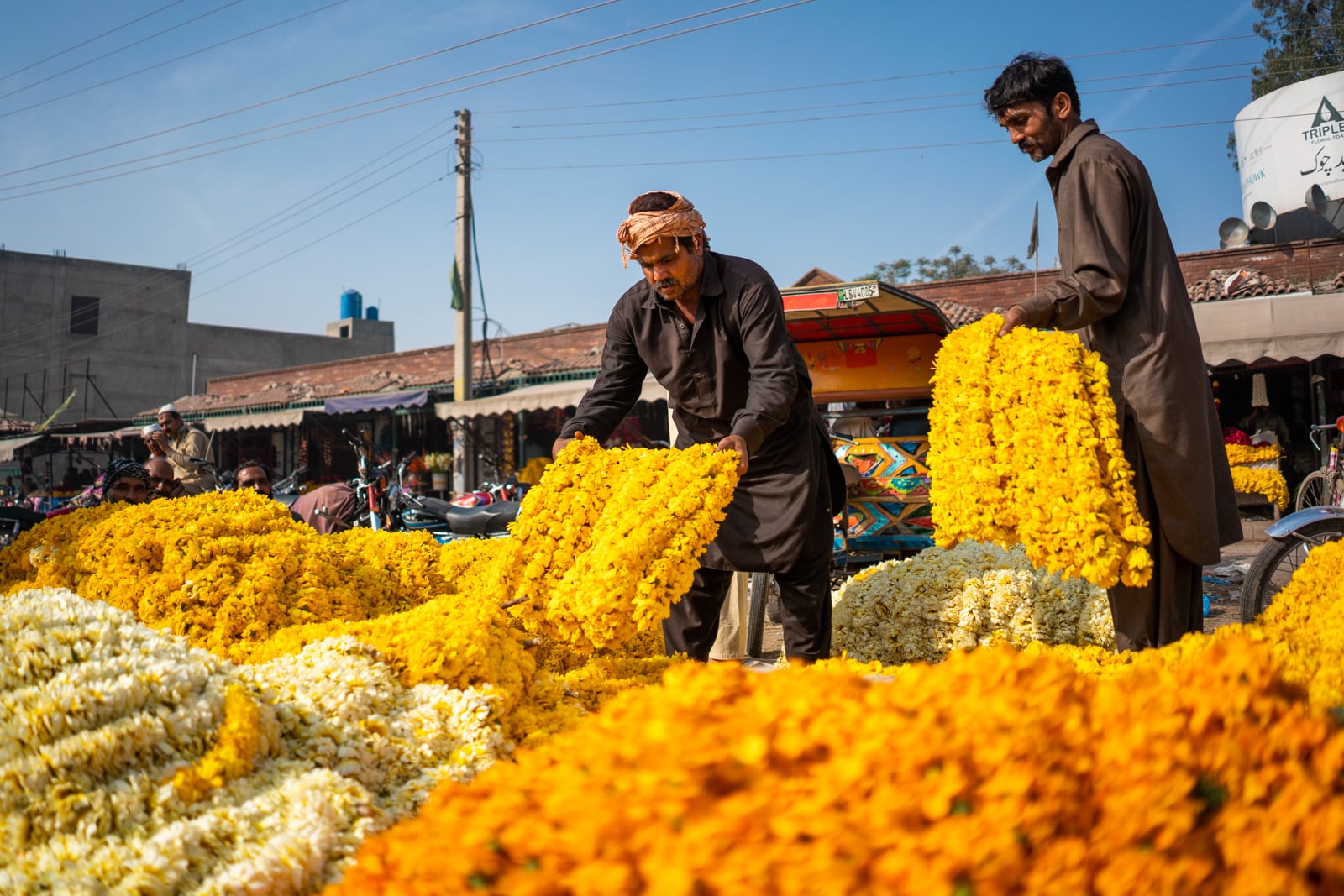 Vendors laying out yellow flowers at Phool Mandi flower market in Lahore, Pakistan