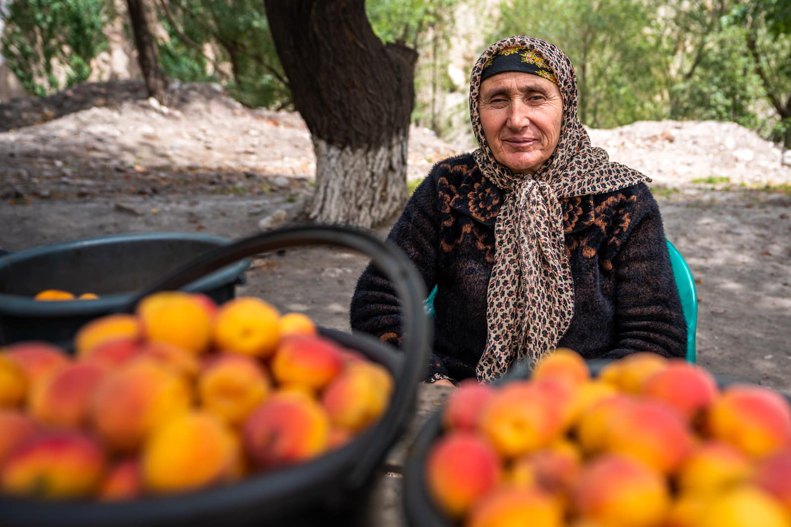 Woman selling apricots in Tajikistan