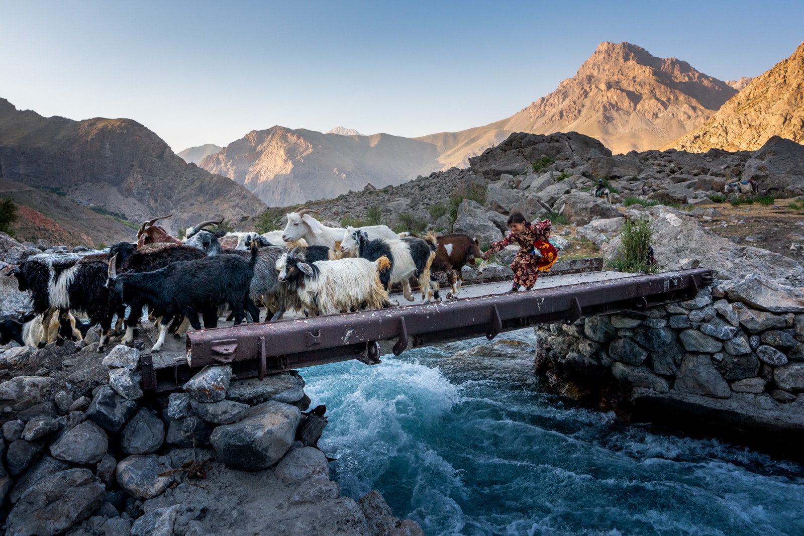 Girl catching escaping goat in Tajikistan's Fann Mountains