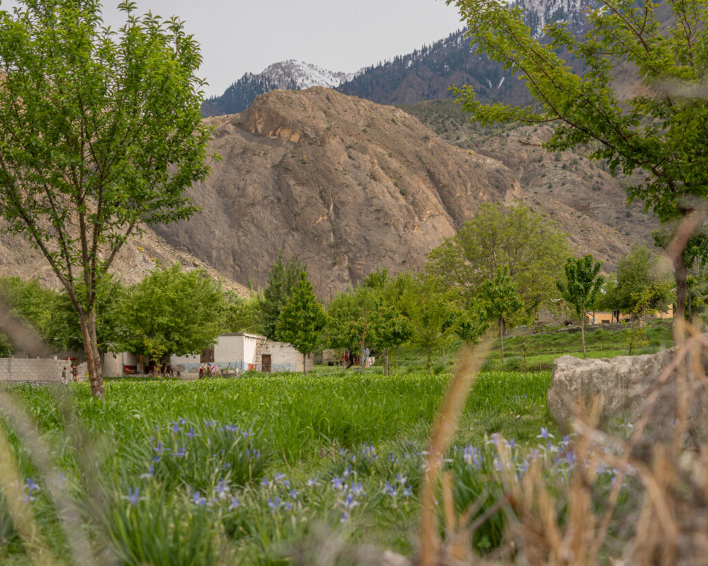 Minapin village, Nagar, Pakistan