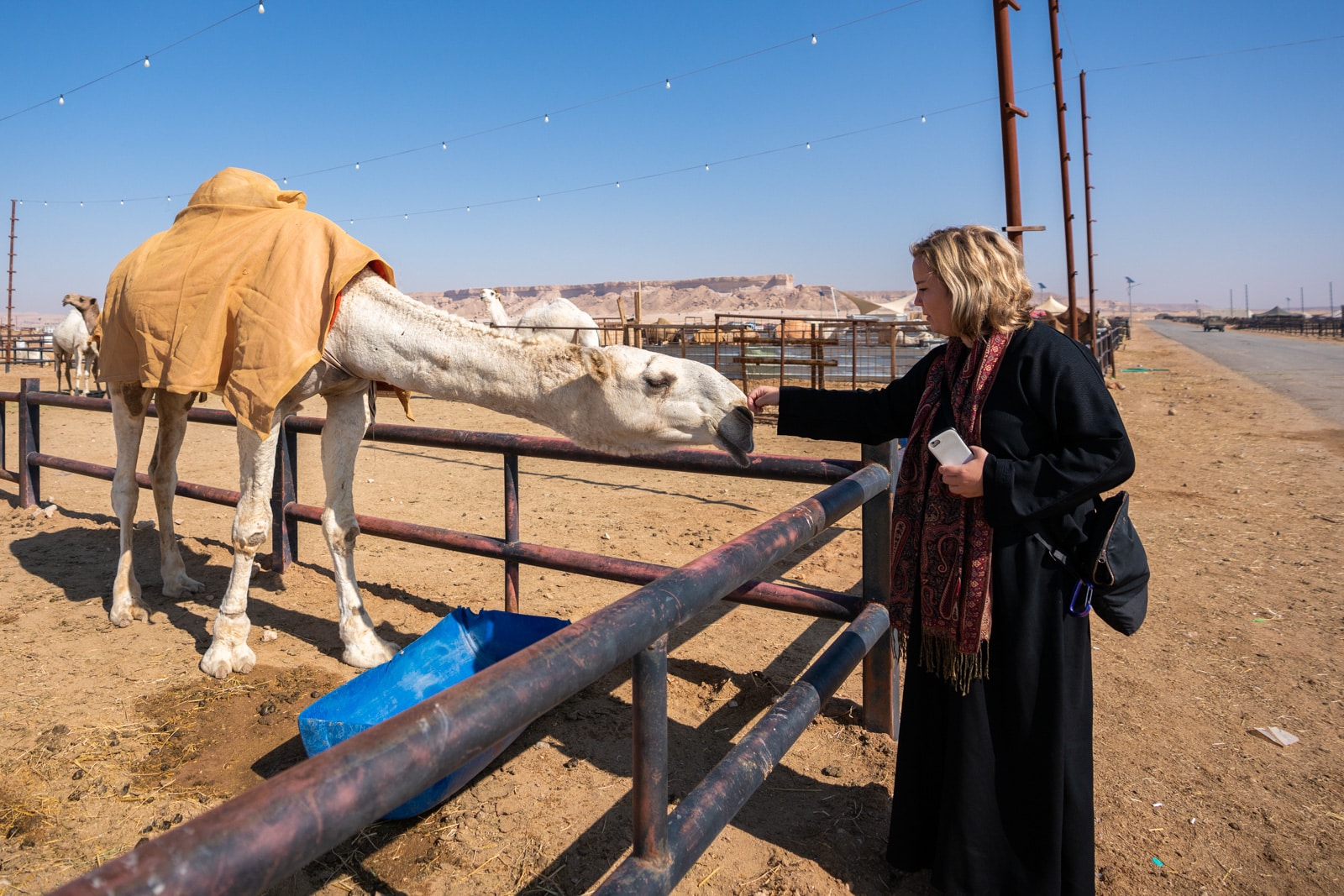 Canadian female traveler petting a camel in Riyadh