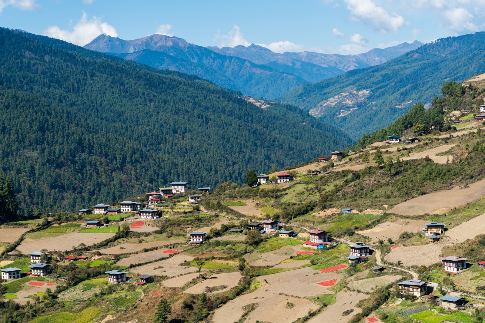 Traditional Bhutanese houses on the way to Haa Valley