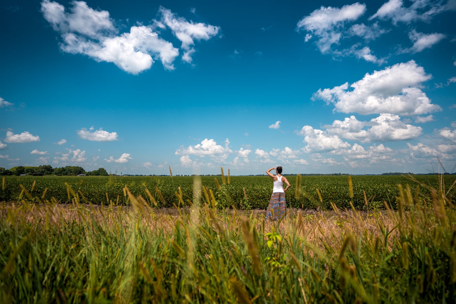 Girl looking at fields in the United States