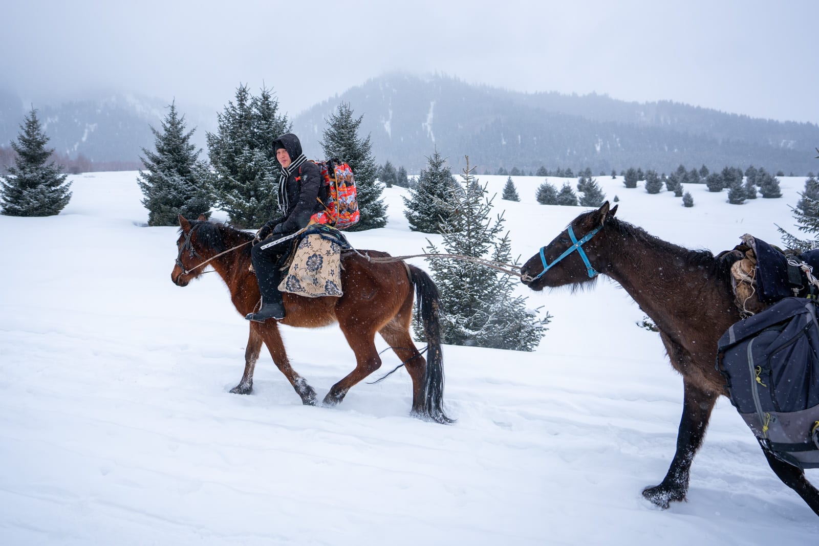 Porter carrying backpack on horse in the snow in Boz Uchuk, Kyrgyzstan