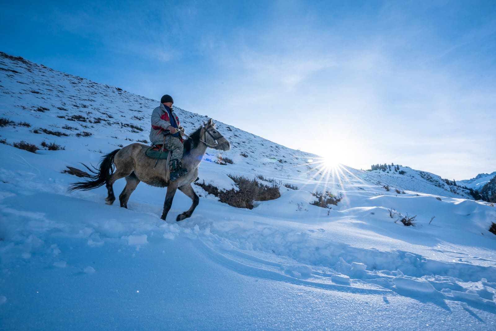 Horse riding in snow in Kyrgyzstan