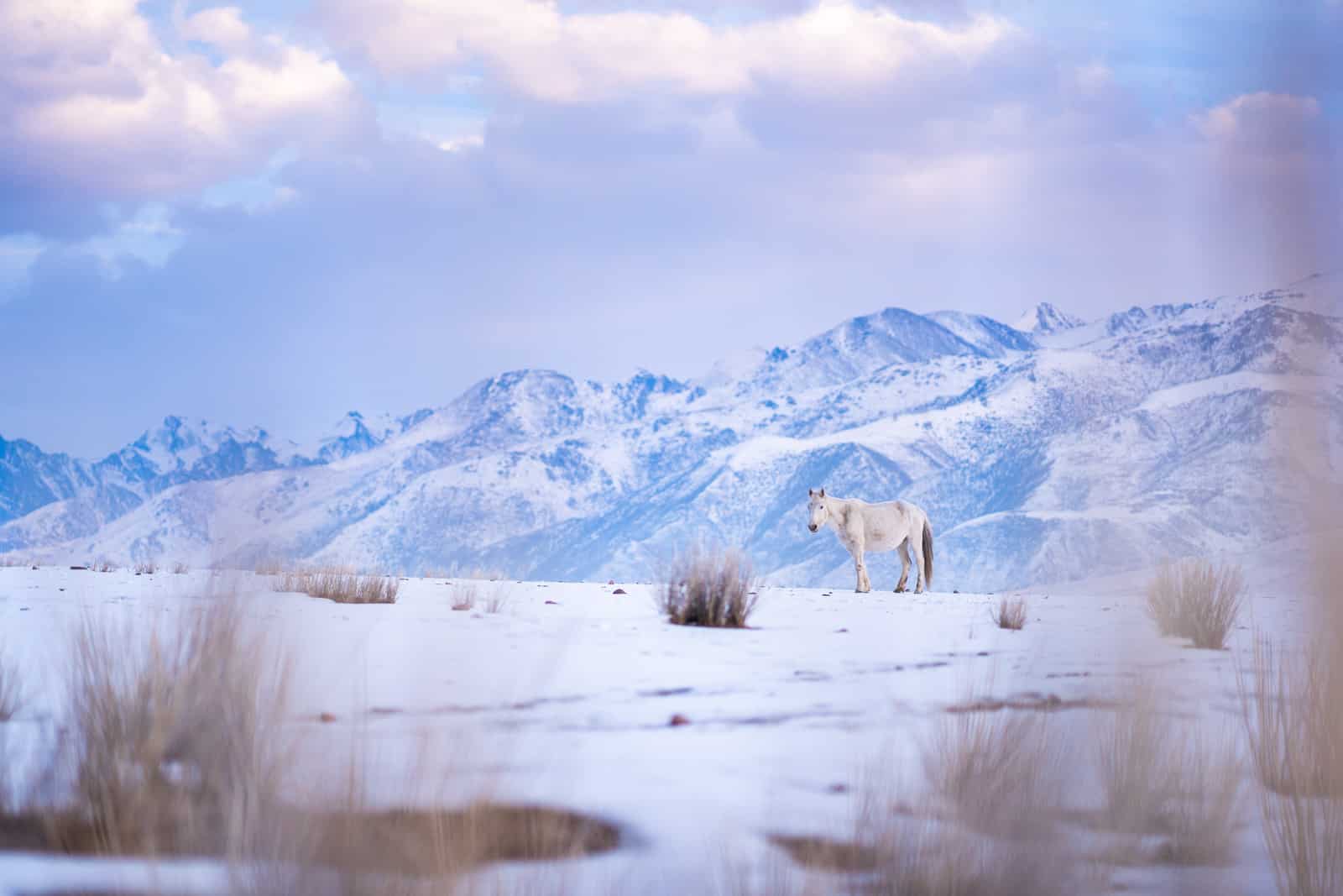 travel in kyrgyzstan