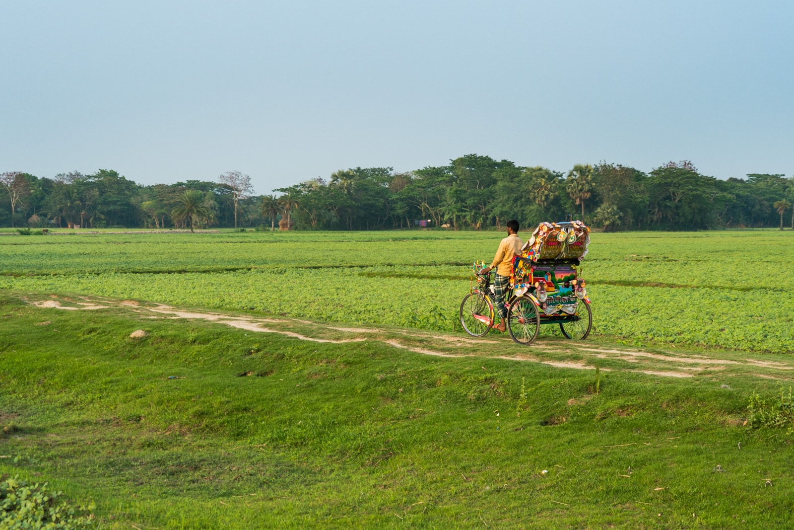 Cycle rickshaw driver on Monpura island, Bangladesh