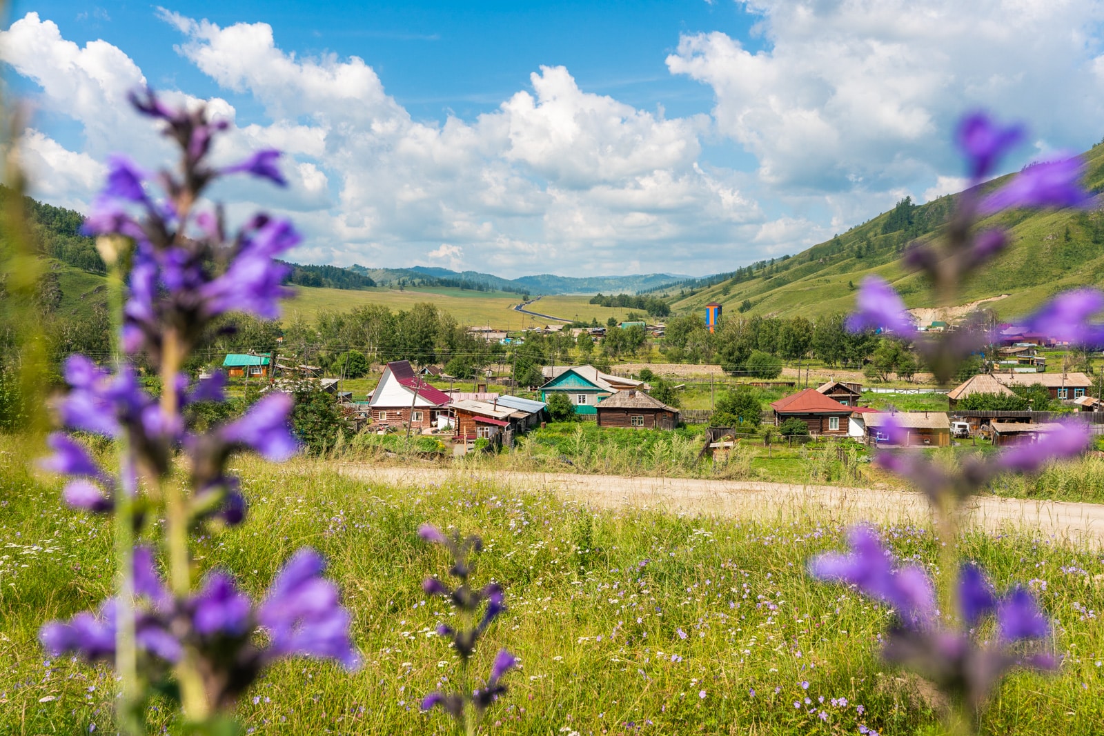 Siberian village in summer in Altai, Russia