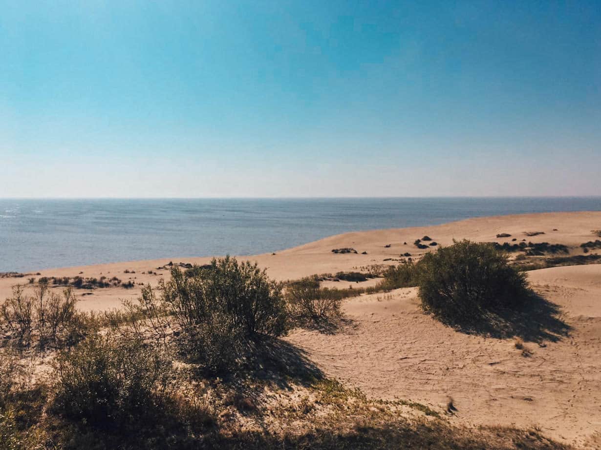 Baltic beach and sand dunes near Kaliningrad, Russia