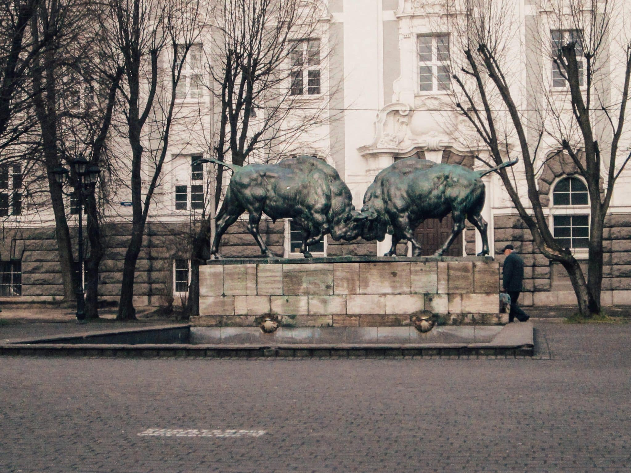 Bull statue in Kaliningrad, Russia
