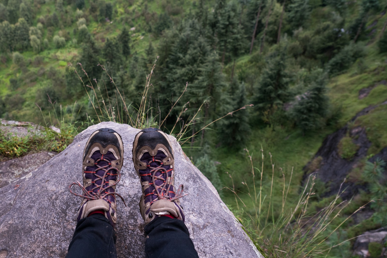 Female traveler's purple hiking boots on a cliff over pine forests in Himachal Pradesh