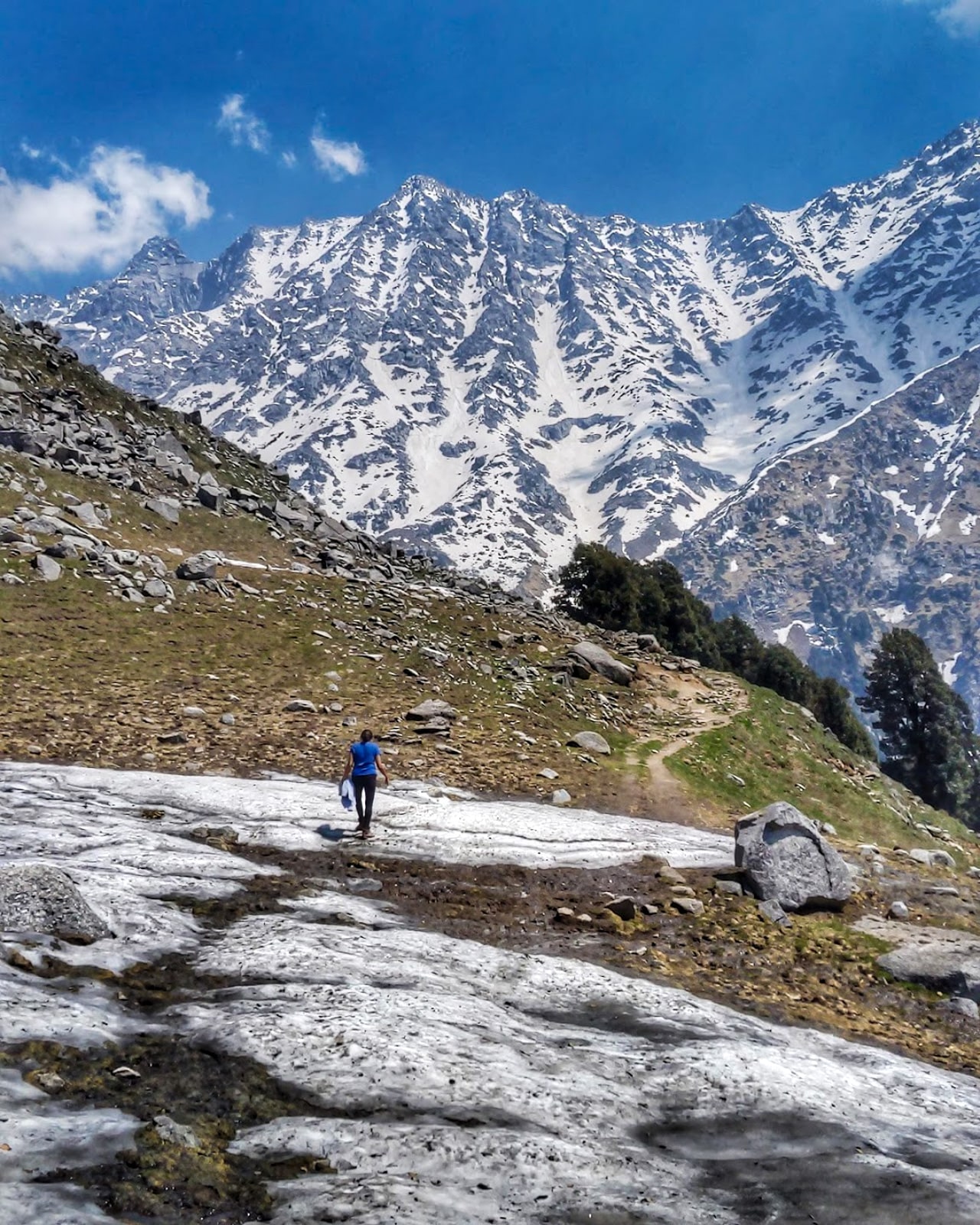 Solo female travel in Himachal Pradesh: a solo female traveler walking in the snow-capped Dhauladar Mountains in India