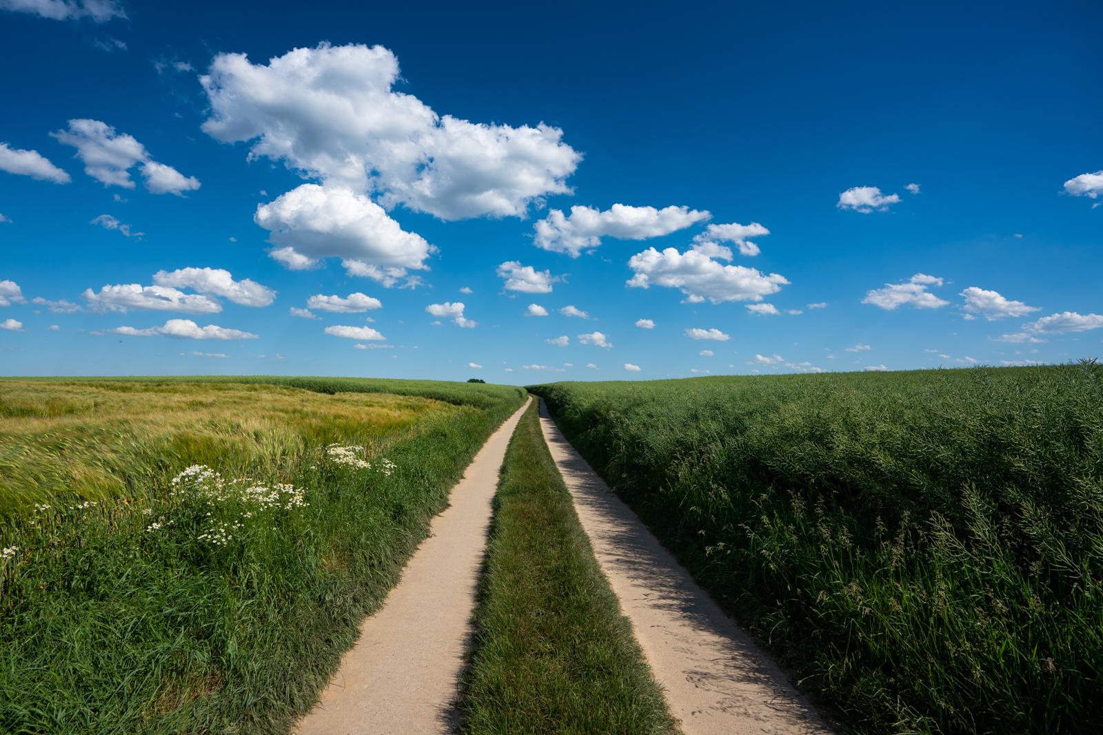 Walking path in Leefdaal, Belgium in summer