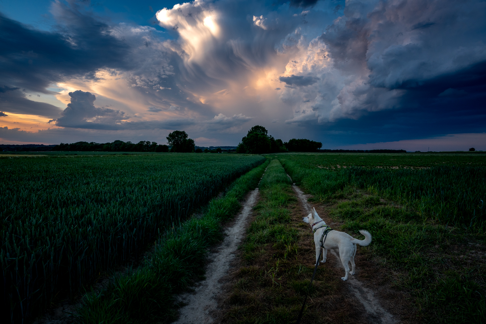 Epic sunset with storm clouds in Leefdaal, Belgium
