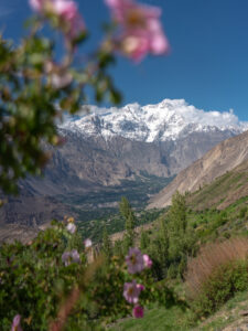 View of Hunza Valley from Minapin, Pakistan with pink flowers