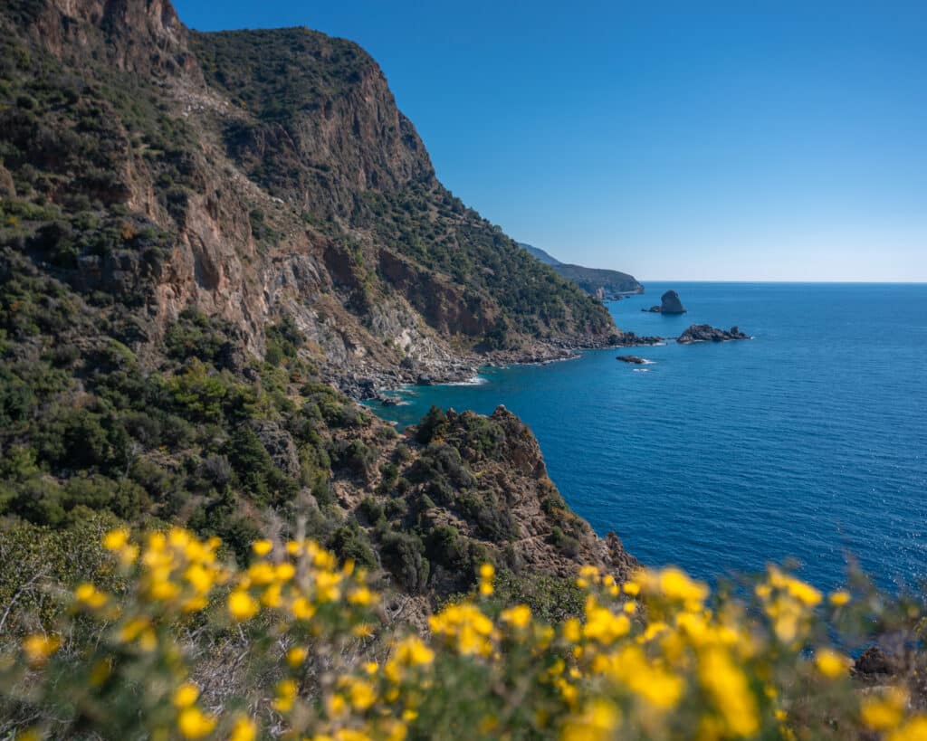 Mediterranean coast of Turkey with blue water and flowers