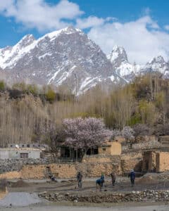 Local people farming in Shimshal Valley as seen on a Pakistan 4x4 adventure tour
