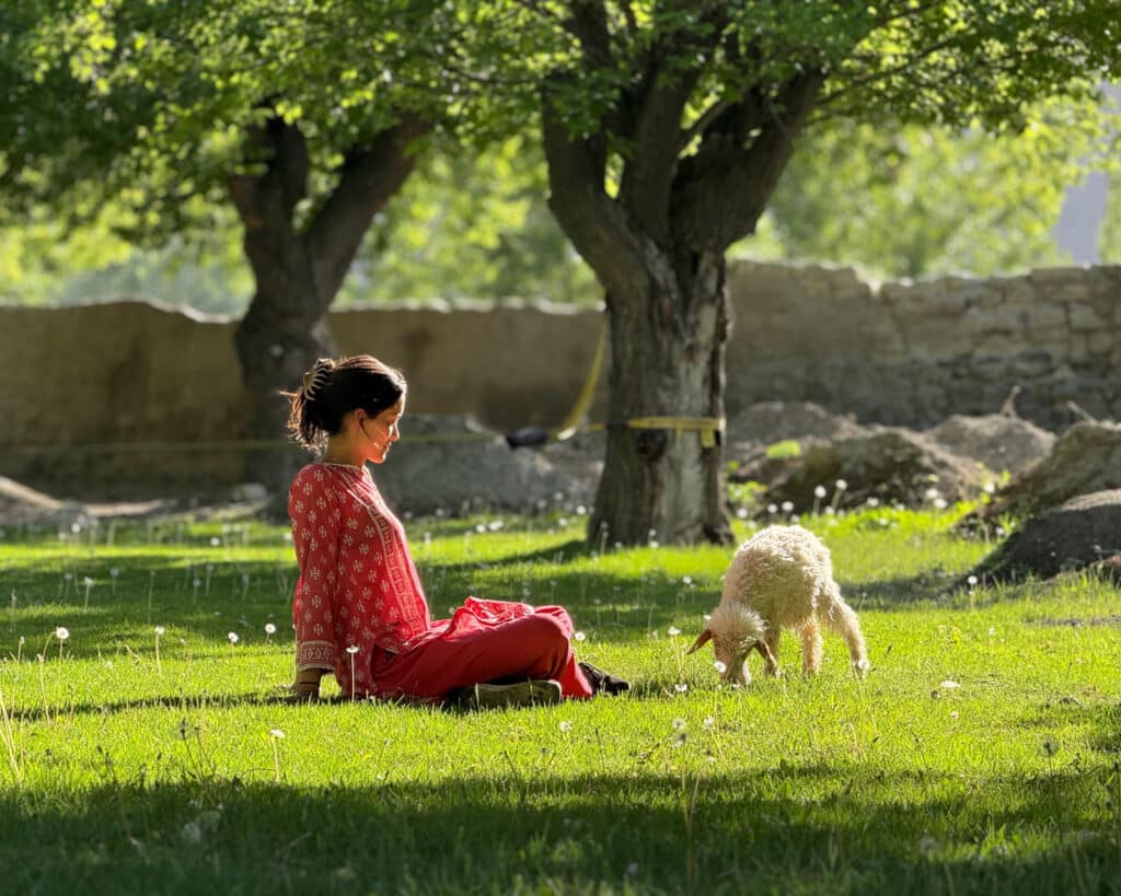 Sitting in the garden of Coyote Den with my sheep