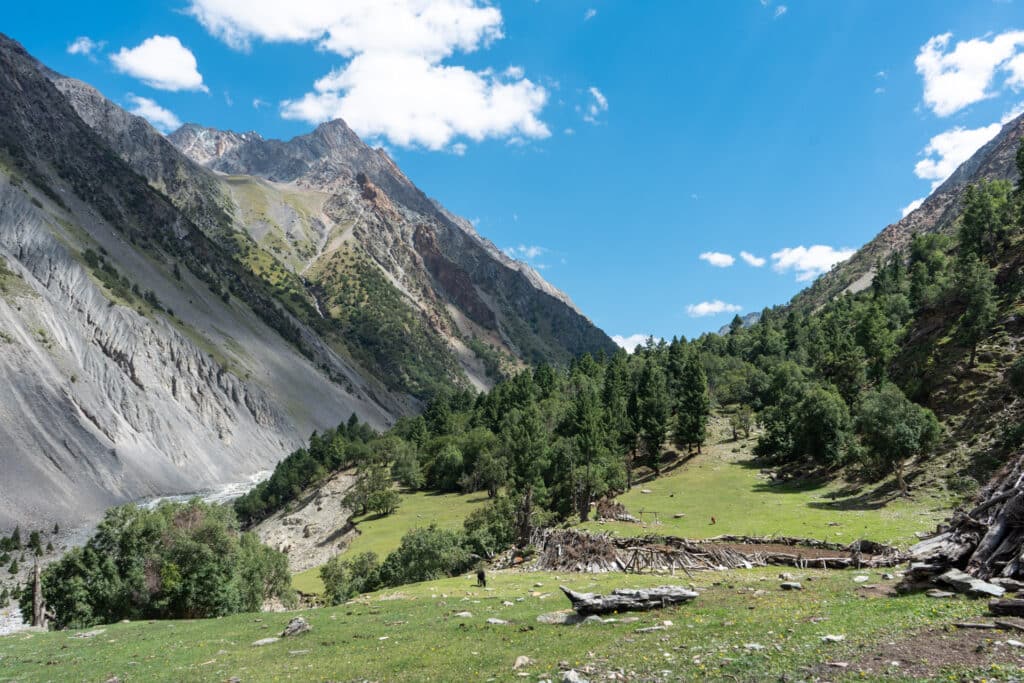 Meadow in Pakora Nala, Ishkoman Valley, Ghizer District